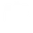 Shield Guard